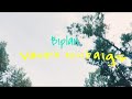 Biplan | Vasara nesibaigs (official lyric video)