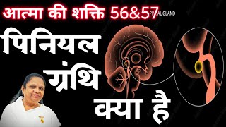 56/57 पिनियल ग्रंथि क्या है? आत्मा की शक्ति By BK kusum