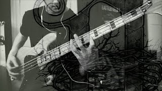 architects - alpha omega: bass cover (hd)