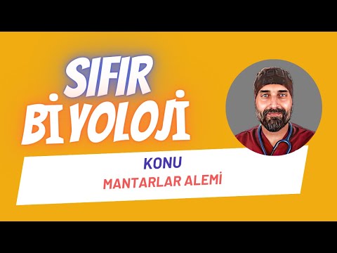 Mantarlar Alemi Sıfır Biyoloji | Dr. Biyoloji