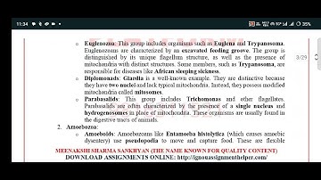 IGNOU bzyct 131 solved Assignment 2025 / bzyct 131 solved Assignment 2025 / pdf watsapp 8228091239