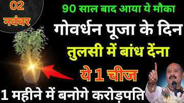 2 नवंबर शनिवार गोवर्धन पूजा के दिन तुलसी के पौधे मे बांध देना ये 1 चीज बनोगे धनवान Pradeep Ji Mishra