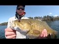 Massive Smallmouth in crystal clear water Hayward, WI