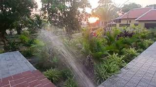 ASMR Watering the tropical gardens.