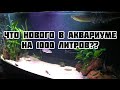 Обзор аквариума на 1000 литров! Что нового?