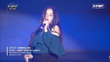 🔥 MOMOLAND - CAN'T NOBODY (2NE1) @ 모모랜드 LIVE IN DUBAI Concert 2019