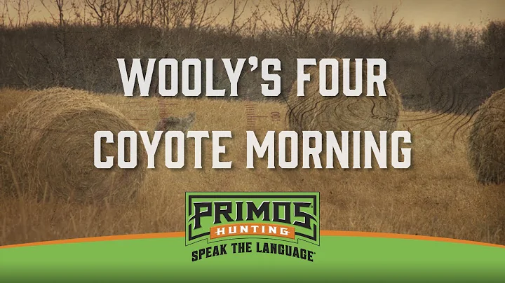 Wooly's 4 Coyote Morning