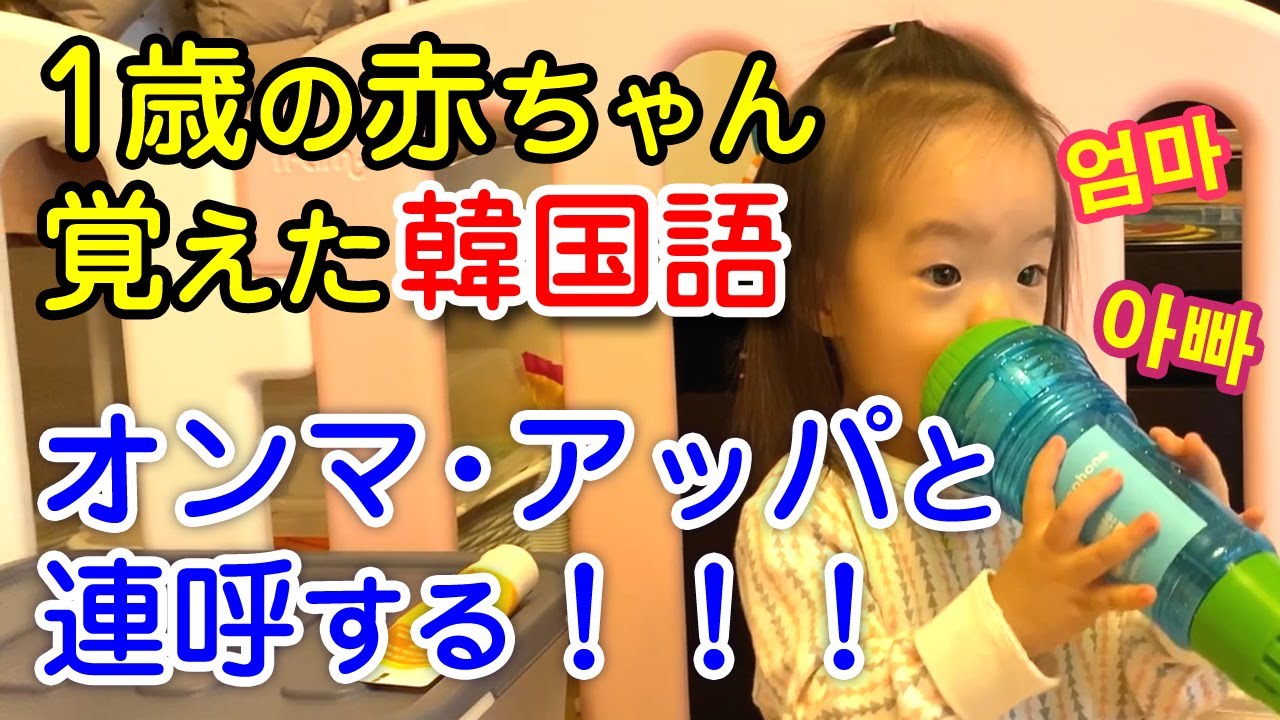 アッパ 韓国 語