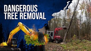 Taking Down Dangerous 60-Foot Trees Next to a Camp | Safe Removal in Papineau-Cameron