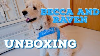 Service dog gear unboxing! by Dallas The Service Doodle 1,082 views 3 years ago 2 minutes, 51 seconds