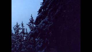 Sentimen Beltza - Olabezarko basoen bakardadea