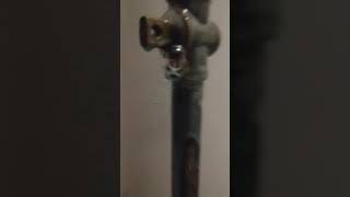 Gas leak found using soap and water.