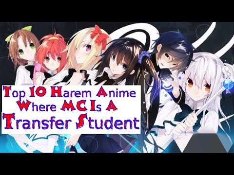 harem transfer op mc｜TikTok Search