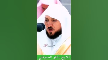 الشيخ ماهر المعيقلي من سورة الواقعة ( وأصحاب الشمال ما أصحاب الشمال )