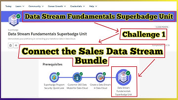 Connect the Sales Data Stream Bundle | Data Stream Fundamentals Superbadge Unit | Challenge 1