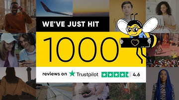 Oojo reaches 1000 reviews on Trustpilot | Rated Excellent