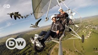 Flying with geese | DW English
