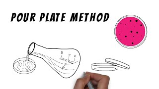 Isolation techniques | Pour plate method