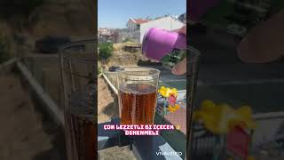Kavun Ve Çilekli Fuse Tea