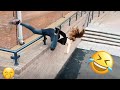 Funnys compilation  pranks  amazing stunts  by happy channel 36
