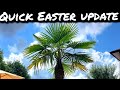 Quick Easter Garden update #tropicalgarden