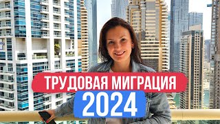 Трудовая миграция в 2024 году | Запись стрима