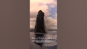 وَذَا النُّونِ إِذ ذَّهَبَ مُغَاضِبًا فَظَنَّ أَن لَّن نَّقْدِرَ  _ القارئ علي عبد السلام اليوسف