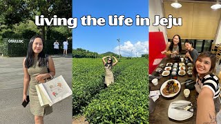 Jeju Vlog 🍊 Osulloc shopping spree, Innisfree cafe, best food I’ve eaten in Korea! by Rigelotus 498 views 7 months ago 19 minutes