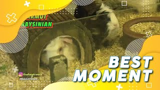 Mantan Suami Jenita Janet Merasa Terkhianati | Best Moment Rumpi (11/11/20)