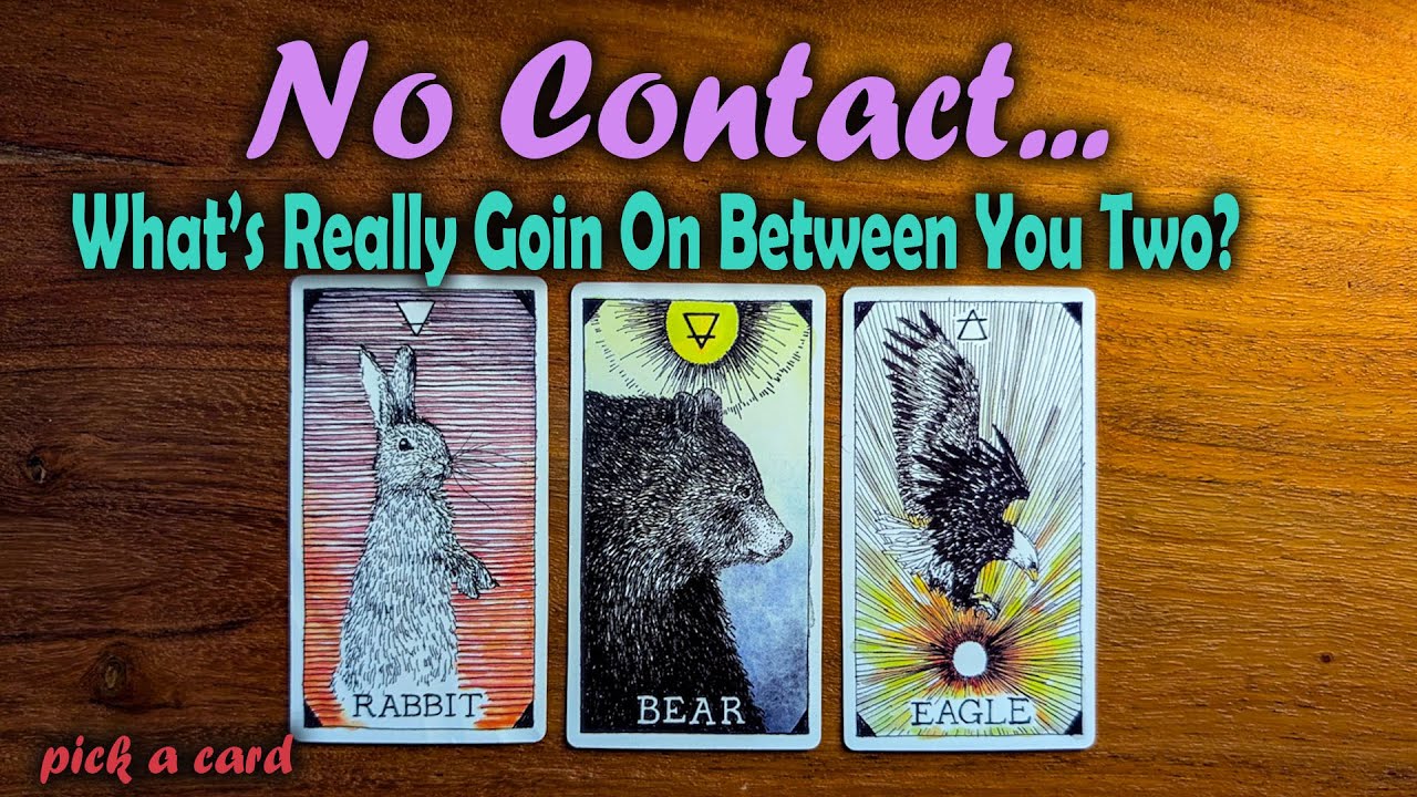 Pick a Card Tarot Reading 🔮 No Contact — What’s Really Happening Between You Two (Timeless)