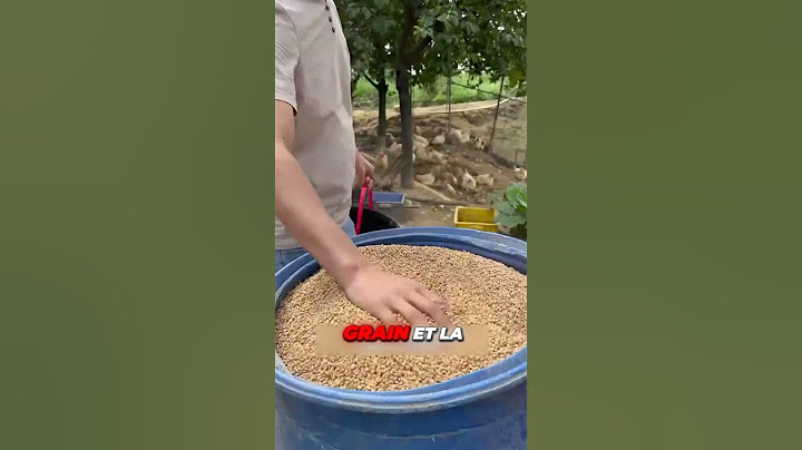 He creates a brilliant method to feed his chickens and save time!🐔