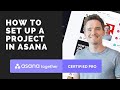 How to set up a new project in Asana