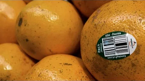 Is Orange Juice high risk? (2023)