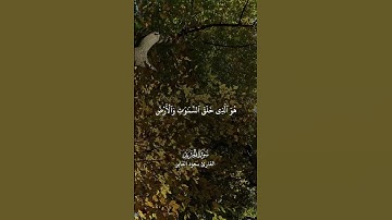 قران كريم اكتب شي تؤجر عليه اللهم صلِ على محمد وعلى آل محمد   #المصحف #الرحمن #قرآن #اكسبلور