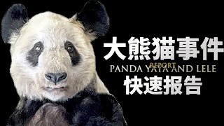 孟菲斯动物园与熊猫丫丫报告：中美黄昏 熊猫迟暮