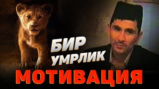 видео: Abdulloh Domla 2023~МОТИВАЦИЯ сизни жасур қиладиган видео!~Абдуллох Домла 2023 #abdullohdomla картинка: Abdulloh Domla 2023~МОТИВАЦИЯ сизни жасур қиладиган видео!~Абдуллох Домла 2023 #abdullohdomla