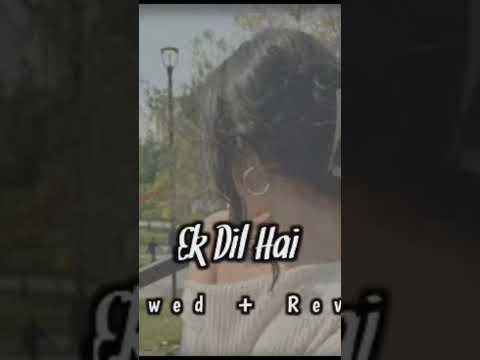 Ek Dil Hai | Akshay Kumar | Ek Dil Hi to hai #slowedandreverb #remix #song #haryanvisong #lofi