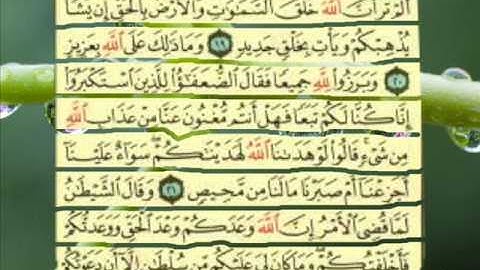 القران الكريم سورة ابراهيم من الاية 11  الى الاية 24