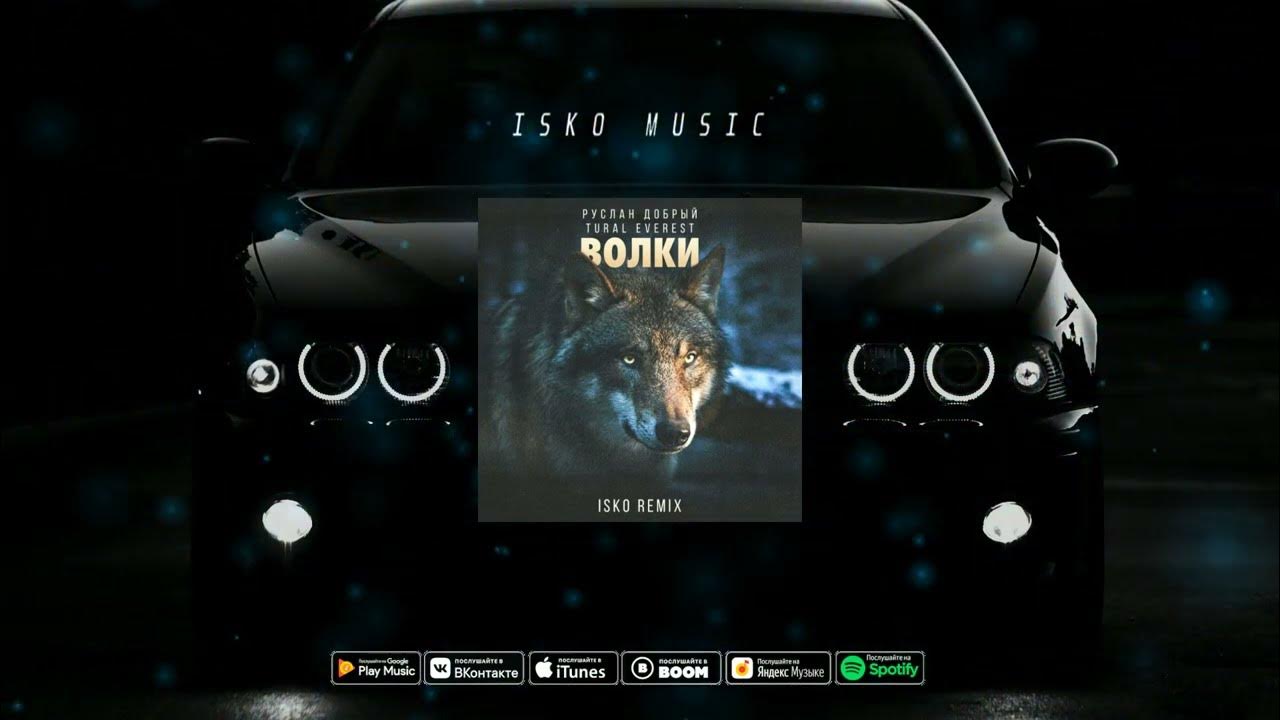волки musiq. волки руслан. песнь волков. волки mp3. руслан добрый tural everest волки.