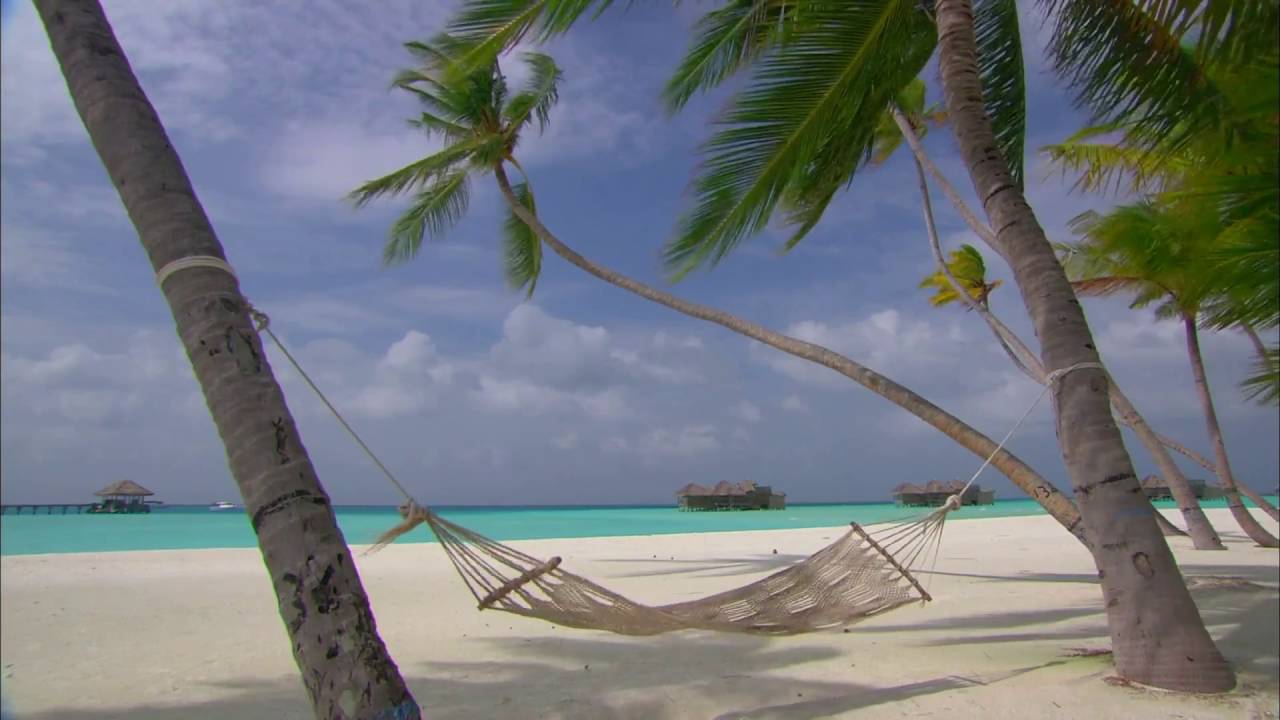 10 hours maldives islands hammock between palm trees 1080phd