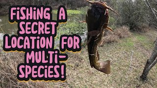 Secret urban fishing location for multi species after a cold front 2025