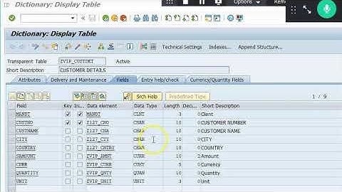 SAP Maintenance View
