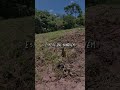 Só com suor que se conquista algo #sitio #construção #arquitetura #plantas #casa #obra #natureza