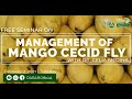 Management of Mango Cecid Fly