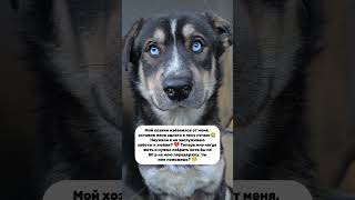 0zon 2204 3206 2995 5545 Полина Д 🙏🏻💔