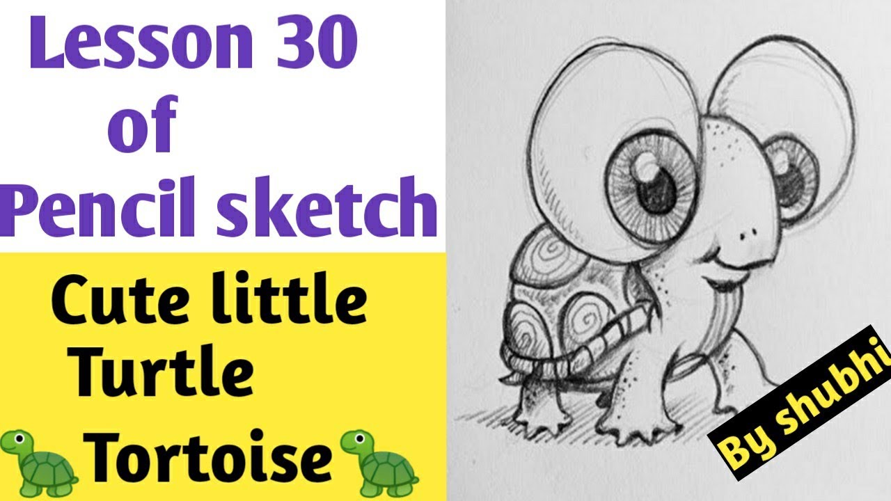 Lesson 30 of Pencil sketch ||How to draw A cute little turtle ...