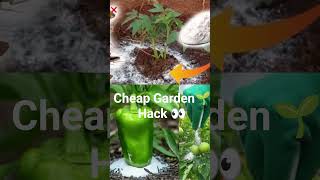 $1 Baking Soda Hack for Gardens that Works 🌱💪🏾😯