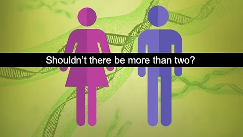 Why are there two sexes? Real Science Chat: chromosome evolution