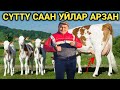 Базар-коргон мал базарында Саан уйлар коп болду.