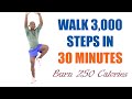 Walk 3000 Steps in 30 Minutes/ Fat Blasting Walking Workout 🔥 Burn 250 Calories 🔥